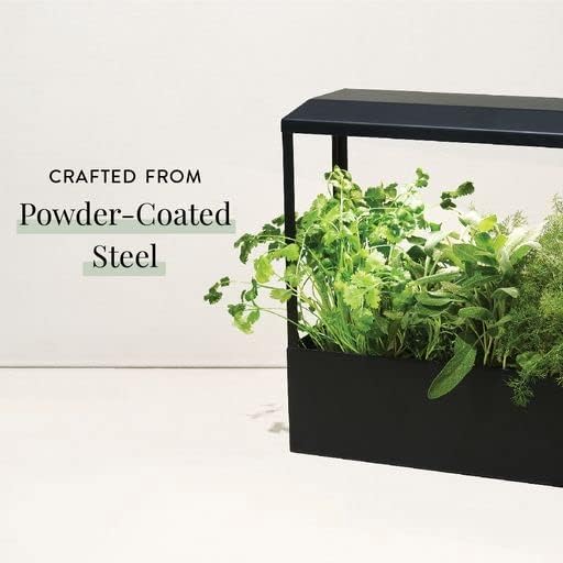 Modern Sprout Smart Growhouse LED Grow Light for Indoor Plants - Plant Grow Light Indoor Gardening System & Herb Garden Kit w/Smart App - Decor Countertop Planter, Gift for Mother's Day - Matte Black