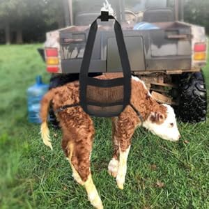 Heavy-Duty Livestock Scale Sling for Goats, Sheep & Calves - 180LB Capacity Animal Weighing Sling with Adjustable Straps - Professional Farm & Veterinary Calf for Hanging Scales