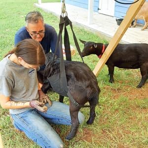 Heavy-Duty Livestock Scale Sling for Goats, Sheep & Calves - 180LB Capacity Animal Weighing Sling with Adjustable Straps - Professional Farm & Veterinary Calf for Hanging Scales