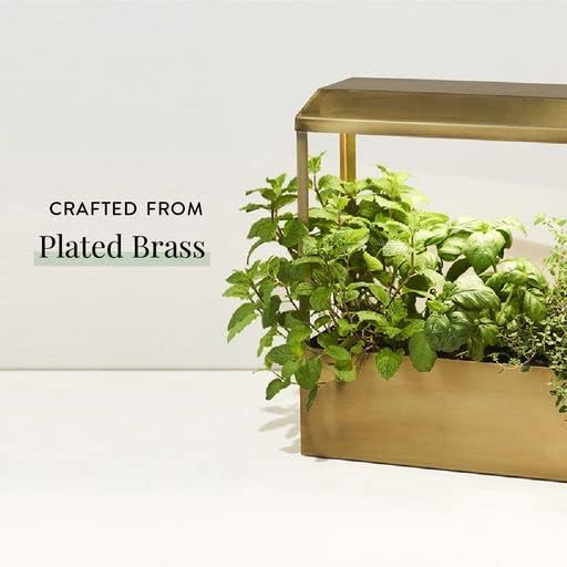 Modern Sprout Smart Growhouse LED Grow Light for Indoor Plants- Plant Grow Light Indoor Gardening System & Herb Garden Kit w/Smart App -Decor Countertop Planter for Herbs, Gift for Mother's Day- Brass