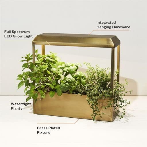 Modern Sprout Smart Growhouse LED Grow Light for Indoor Plants- Plant Grow Light Indoor Gardening System & Herb Garden Kit w/Smart App -Decor Countertop Planter for Herbs, Gift for Mother's Day- Brass