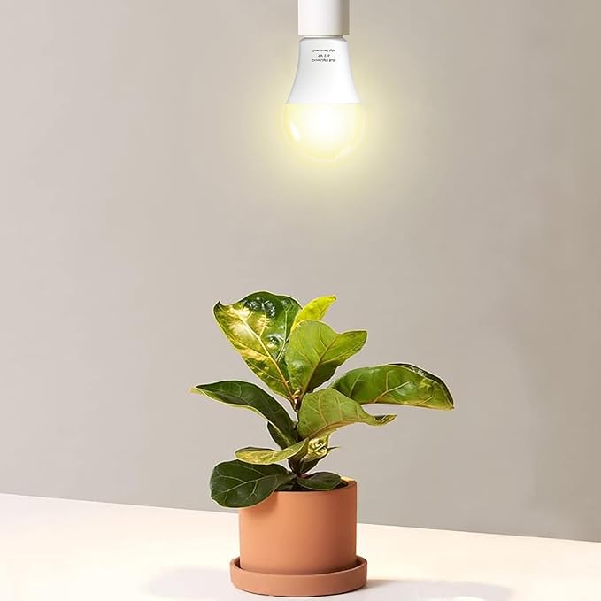 12 Pack Full Spectrum Grow Light Bulbs,A19 Grow Lights for Indoor Plants,Dimmable E26 9W Grow Bulb Replace up to 100W,Plant Lights for Indoor Growing,Flowers,Greenhouse,Indore