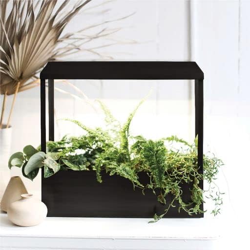 Modern Sprout Smart Growhouse LED Grow Light for Indoor Plants - Plant Grow Light Indoor Gardening System & Herb Garden Kit w/Smart App - Decor Countertop Planter, Gift for Mother's Day - Matte Black