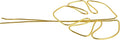 Monstera Plant Support Trellis Gold Alloy Climbing Plant Stake Climbing Holder