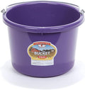 Little Giant® Plastic Animal Feed Bucket | Round Plastic Feed Bucket with Metal Handle | Made in USA | 8 Quarts | Purple