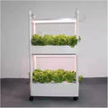 Hydroponic Equipment Hydroponics Growing System Indoor Smart Herb Vertical Garden Kit Automatic LED Grow Lights Planter for Home Kitchen Indoor Garden
