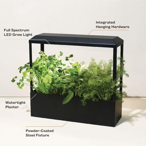 Modern Sprout Smart Growhouse LED Grow Light for Indoor Plants - Plant Grow Light Indoor Gardening System & Herb Garden Kit w/Smart App - Decor Countertop Planter, Gift for Mother's Day - Matte Black