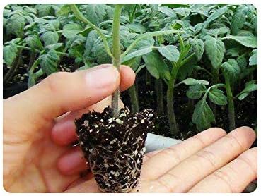 RooTrimmer 10 Pack 200 Cell Seed Starter Trays- Thick Durable Plastic Nursery Flats with Drainage Holes for Seedlings, Propagation, Seed Germination, Fits Shallow 1020 Trays