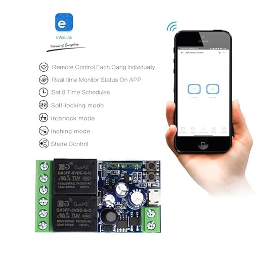 Ewelink WiFi Wireless Smart Relay Module USB DC 5v/12v/24v/48v 2 Channel Switch for Garage Door, Rolling Shutter Door, Electric Curtain