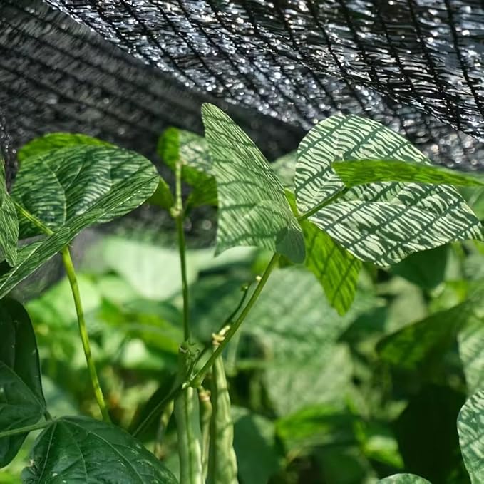 70-90% Shade Cloth for Garden, 12X24 Ft Sun Shade Fabric for Plants Heat Protection, Sunblock Mesh Tarp with Grommets for Plant Cover, Greenhouse, Vegetables, Flowers