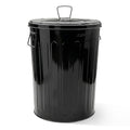 Plexon 20 Gallon Metal Trash Can with Lid Outdoor Large Trash Bin Steel Garbage Can for Garage Patio Farmhouse Bucket Bird Seed Storage Can Heavy Duty Round Container, Black