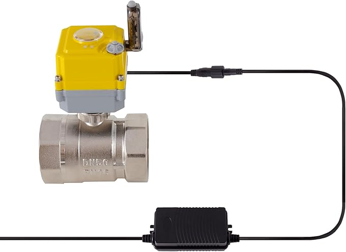 NPT 2'' Electric Ball Valve Intelligent Electric Valve DC24V Actuator/AC110V-230V Power Adapter, TUYA-APP WIFI Control Valve With Indicator and Manual Device 2-wire Automatic Return, Normally Closed
