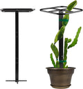 Dragon Fruit Metal Trellis, Cucumber Vertical Garden Support Frame, Climbing Plant Stand for Indoor/Outdoor Use