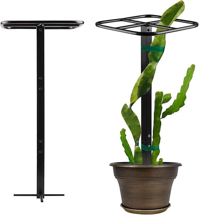 Dragon Fruit Metal Trellis, Cucumber Vertical Garden Support Frame, Climbing Plant Stand for Indoor/Outdoor Use