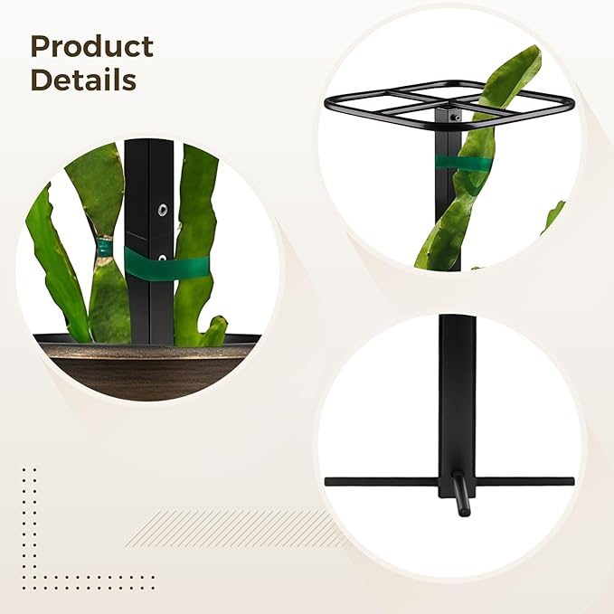 Dragon Fruit Metal Trellis, Cucumber Vertical Garden Support Frame, Climbing Plant Stand for Indoor/Outdoor Use