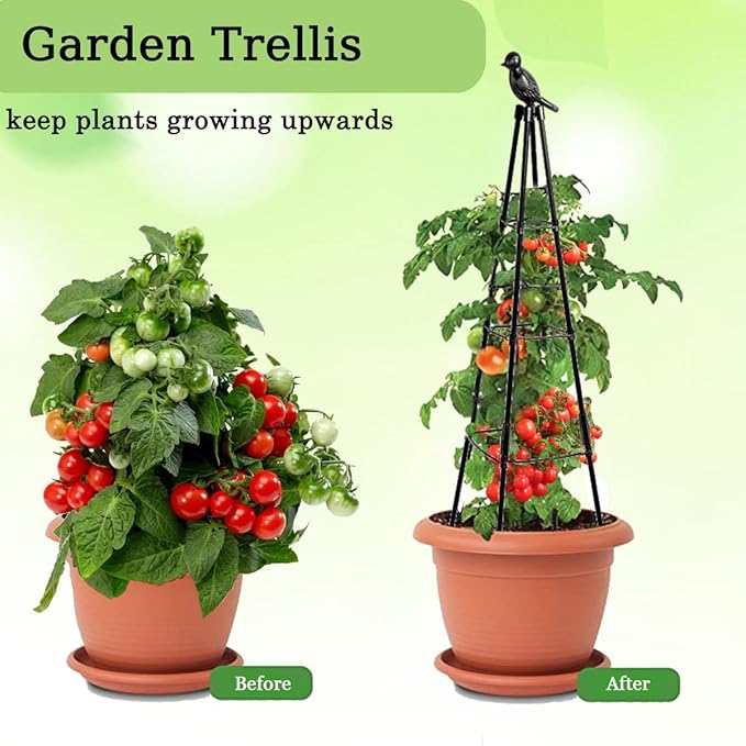 2 Pack Garden Trellis for Climbing Plants,63inch Tall Plants Trellis Support with Adjustable Stake Arms,Plastic Coated Rustproof Metal Pipe Supports for Outdoor Indoor, Potted Plants, Tomato, Rose