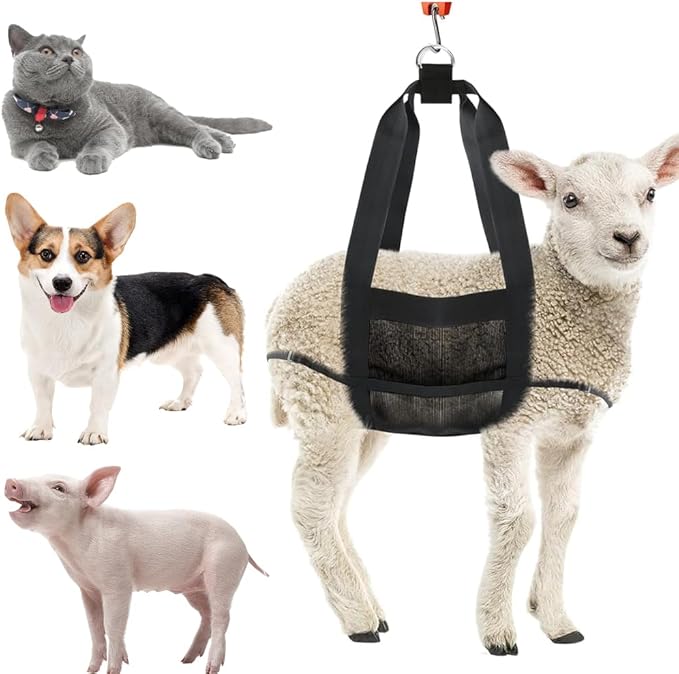 Heavy-Duty Livestock Scale Sling for Goats, Sheep & Calves - 180LB Capacity Animal Weighing Sling with Adjustable Straps - Professional Farm & Veterinary Calf for Hanging Scales