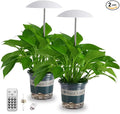 LED Grow Lights for Indoor Plants 2 Pack, Smart Full Spectrum USB Small Plant Lights with Remote, Height Adjustable, Auto On/Off Timer, Ideal for Home Decoration