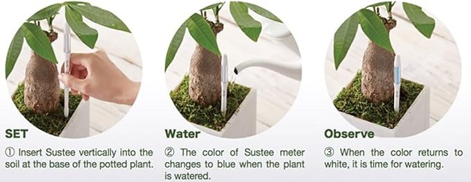 IPPINKA Sustee Aquameter, Plant Moisture Sensor Set of 2 (Green, Medium)