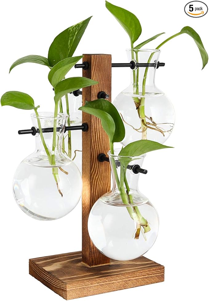 PAG Planter Terrariums Kit Desktop Hydroponics Air Plant Holder with 4 Bulb Beaker Glass Vase and Solid Wood Stand, Home Office Decoration Gardening Gift for Women