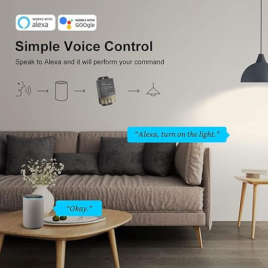 1CH Dry Contact WiFi Relay Switch Module,DC 12/24V AC 100-240V,Tuya Smart Life app,Compatible with Alexa,Google Home