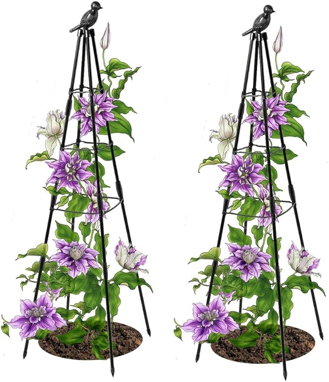 Trellis for Climbing Plants Outdoor, 2 Pack Plant Trellis Support for Climbing Vine, 63" Plant Support Tower Cages Plastic Coated Metal Pipe Supports for Outdoor Indoor, Potted Plants, Tomato cage