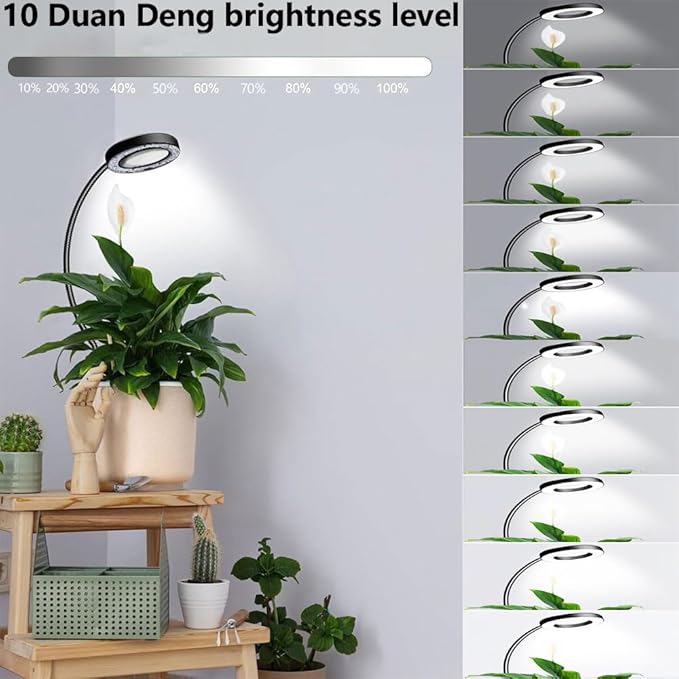 Plant Grow Light, 48 LEDs Full Spectrum Grow Lights for Indoor Plants, Height Adjustable Small Halo Grow Light with Clip, 3 Spectral Modes, Auto Timer 3/9/12Hrs, 10 Levels Brightness,Black