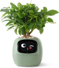 PLANTSIO Smart Pet Planter AI-Powered Smart Vases with Emoji Plant Care Guidance, Adorable Gesture Interaction, Modern Home Vase/Decoration Vase for Bedroom & Desk (Green)