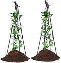 2 Pack Garden Trellis for Climbing Plants,63inch Tall Plants Trellis Support with Adjustable Stake Arms,Plastic Coated Rustproof Metal Pipe Supports for Outdoor Indoor, Potted Plants, Tomato, Rose