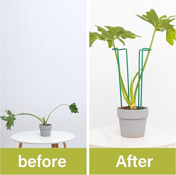 Indoor Plant Trellis Set of 10 - Durable Iron Plant Supports for Monstera and Climbing Plants, Perfect for Indoor & Outdoor Use, U-Shape Design for Garden Decor and Ideal Gift for Plant Lovers