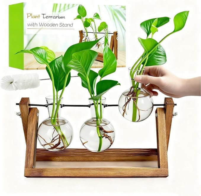 Renmxj Plant Propagation Stations with Wooden Stand & 3 Glass Bulb Vases - Plant Terrarium for Indoor Plants, Home Office Desk Decor, Gardening Gifts for Women Mom, Birthday Gifts for Plants Lovers