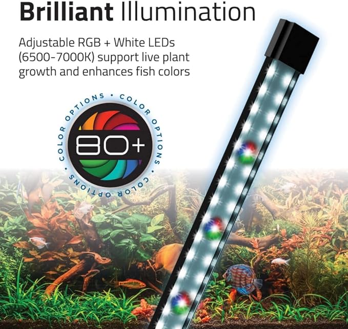 Fluval Flex 2.0 Aquarium Kit – 15 Gallon Glass Fish Tank with RGB+W LED Lighting, Remote Control, Integrated 3-Stage Filtration & Adjustable Water Flow – Modern Freshwater Aquarium
