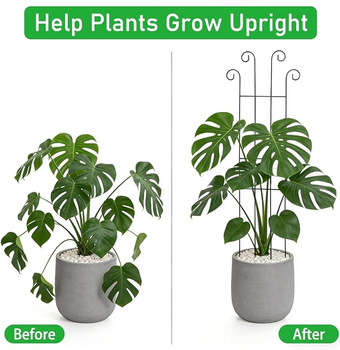 32.6inch Plant Trellis for Pot Climbing Plants Indoors & Outdoor, Garden Trellis for Potted Plants, Rust-Proof Metal Sturdy Yet Gentle Climbing Stakes Support for Ivy Pothos Hoya Monstera (4pcs)