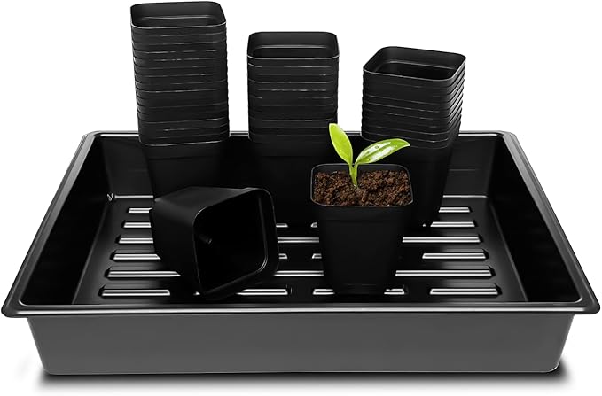 RooTrimmer 3.15 inch (8CM) Square Nursery Pots 100 pcs, Sturdy Seedlings Trays 5 Pcs, Seeds Starter Germination Tray, Microgreening Planter Nursery Propagation 5 Sets