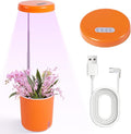 Self-Watering Planter with Grow Light — Cute Desk Plant Pot for Office, Bedroom & Window — No Green Thumb Needed, 2-in-1 Wall + Desktop, USB Powered (5W LED, White)