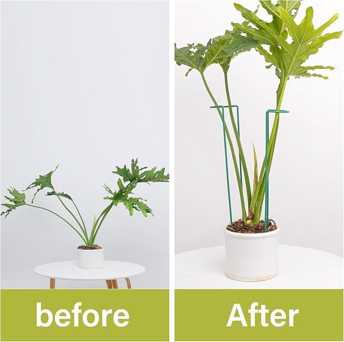10 Pack Monstera Support Indoor Plant Support Stakes for Large Plants and Climbing Vines | Plant Supports for Outdoor and Indoor Use | Ideal Garden Flower Stem Holder Trellis for Plant Lovers