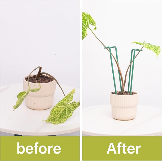 Indoor Plant Stakes – 8.7" U-Shaped Durable Iron Support for Monstera & Potted Plants, Perfect for Small to Medium Climbing Plants, 10-Pack, Ideal for Home Décor & Plant Lovers