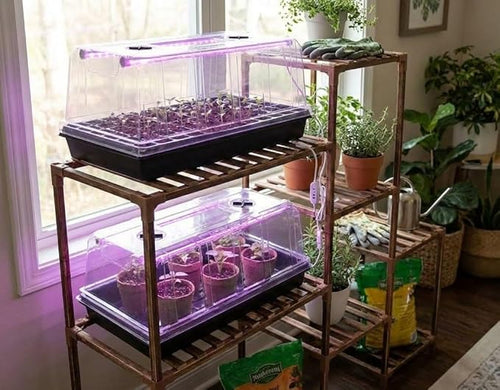 1020 Nursery Tray with Grow Lights - 4-Pack 6.3" Extra High Humidity Dome & Heavy Duty Propagation Tray, 8-Pack Integrated 96 Full Spectrum LED with Timer/5 Dimmable Levels, Reusable Greenhouse Kit
