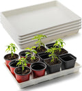 RooTrimmer 5 Pack Nursery Pot Tray, Carrying and Holding Plant Tray for Pot 24 Cell Carrying Holder Drainage Watering Plant Tray (White)