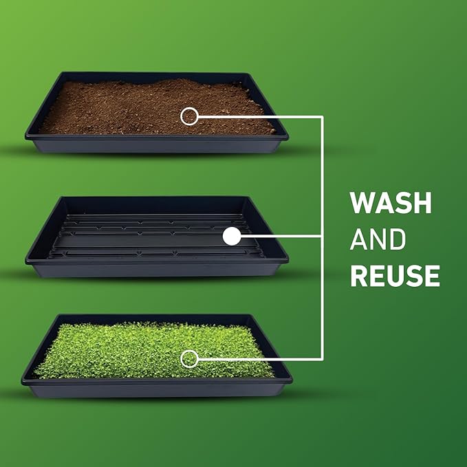 10x20 Inch Black Plastic 50 Pack Plant Propagation Tray – Growing Trays for Garden, Planting, Seedling, Soil & Hydroponic Horticulture - Microgreen Trays Grow Plants - No Drain Holes