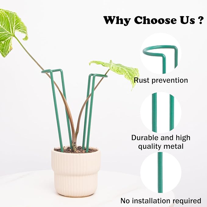 Indoor Plant Stakes – 8.7" U-Shaped Durable Iron Support for Monstera & Potted Plants, Perfect for Small to Medium Climbing Plants, 10-Pack, Ideal for Home Décor & Plant Lovers