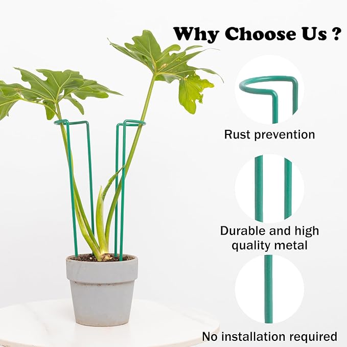 Indoor Plant Trellis Set of 10 - Durable Iron Plant Supports for Monstera and Climbing Plants, Perfect for Indoor & Outdoor Use, U-Shape Design for Garden Decor and Ideal Gift for Plant Lovers