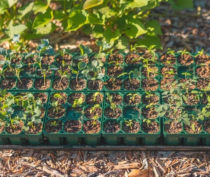 Vego garden Seedling Suite Products, 4 Pack Jumbo Seedling Trays with 10" x 10" Bottom Watering Trays