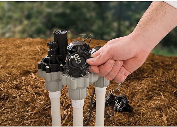 Rain Bird DASASVF100 Professional Grade Anti-Siphon Valve with Flow Control, 1" Threaded Female x Female