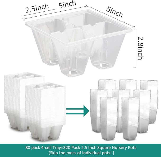 RooTrimmer 80 Pack Reusable 4-Cell Clear Seed Starter Trays - Extra Large Drainage Holes, Easy Transplant, Clear Transparent Tray for Root Observation, Seed Starting, Fits Standard 1020 Flats