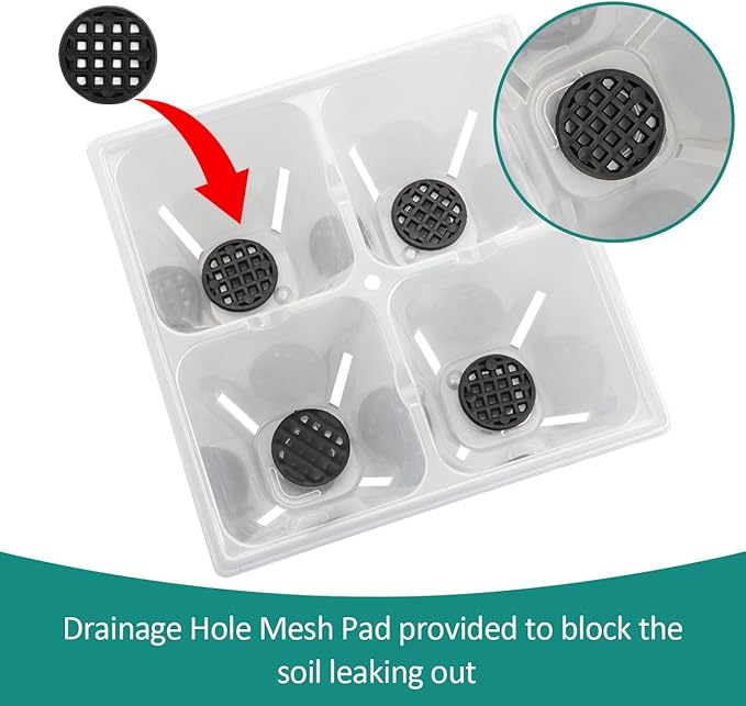 RooTrimmer 40 Pack Reusable 4-Cell Seed Starter Trays with Large Drainage Holes - Clear Transparent Trays for Root Growth Monitoring, Avoids Overwatering, Easy Transplant, Fits Standard 1020 Trays