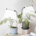 Grow Light 2 Pack, 6000K Full Spectrum Gooseneck Growing Lamp for Indoor Bonsai Pot Succulents Micro Greens Mini Plants, Dimmable & Auto Timer 4 8 12H