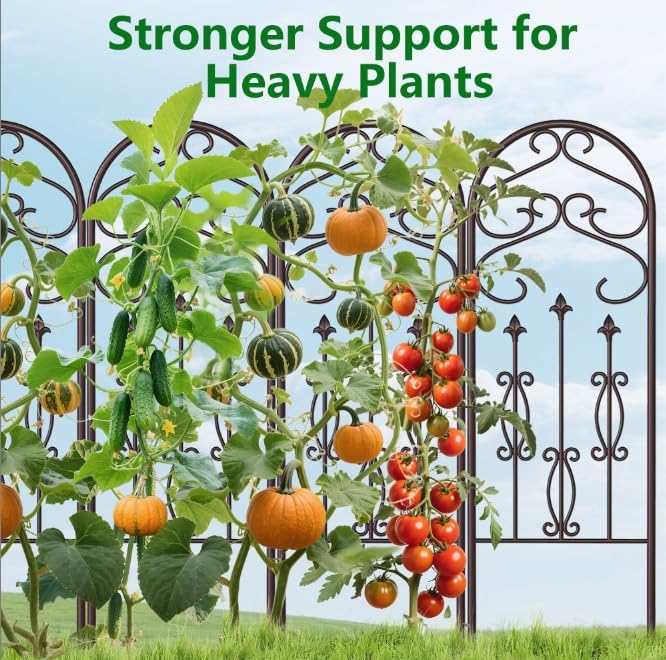 AMAGABELI GARDEN & HOME 2 Pack 60" x 18" Garden Trellis for Climbing Plants Outdoor Rustproof Metal Trellis for Potted Plants and Roses Vines Vegetables Flowers Ivy Cucumbers Clematis Supports Bronze