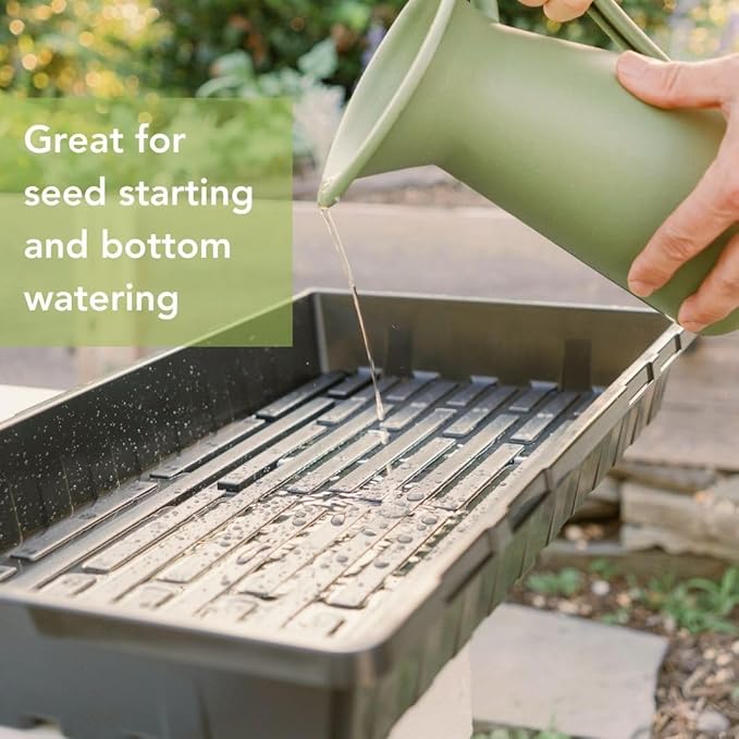 Bootstrap Farmer 1020 Trays - Extra Strength No Holes, 30 Pack, Reusable Deep Plant Nursery Trays for Propagation Seed Starter, Plant Germination, Seedling Flat, Fodder
