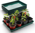 RooTrimmer 5 Pack Seed Starter Trays (17"x11"x2"), Plastic Flat Nursery Pots Trays, Durable Carrying Seedling Starter Tray, Reusable Tray for Planting and Collecting Drainage Water (Green)